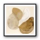 Abstract Minimalist Artwork With Three Large Overlapping Ovals 3 Abstract Minimalist Artwork With Three Large Overlapping Ovals 3