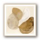Abstract Minimalist Artwork With Three Large Overlapping Ovals 3 Abstract Minimalist Artwork With Three Large Overlapping Ovals 3