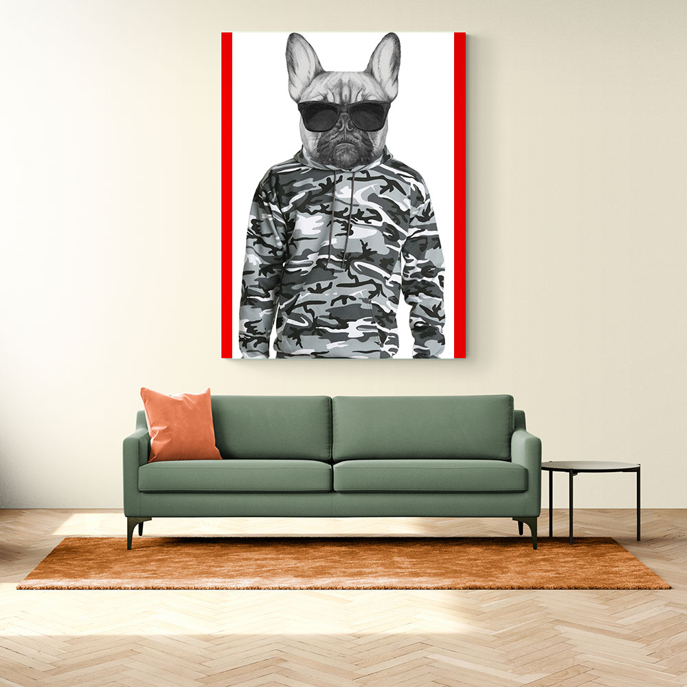 French Bulldog Wearing Sunglasses and Cammo Hoodie French Bulldog Wearing Sunglasses and Cammo Hoodie