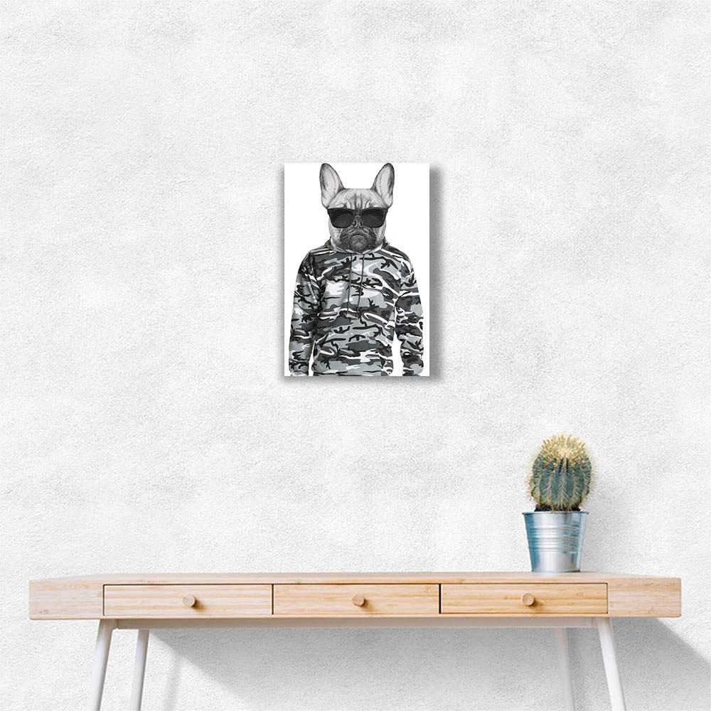 French Bulldog Wearing Sunglasses and Cammo Hoodie French Bulldog Wearing Sunglasses and Cammo Hoodie