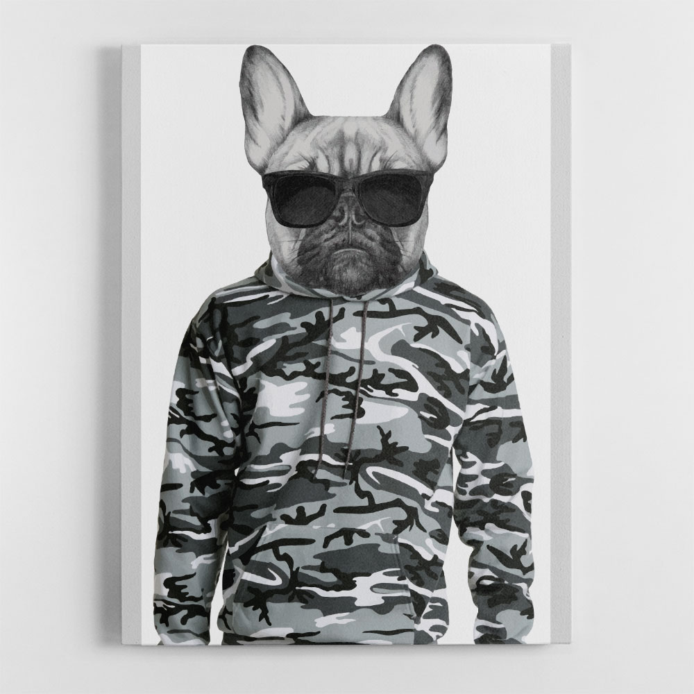 French Bulldog Wearing Sunglasses and Cammo Hoodie French Bulldog Wearing Sunglasses and Cammo Hoodie