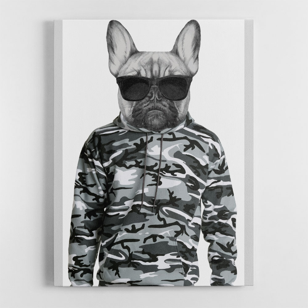 French Bulldog Wearing Sunglasses and Cammo Hoodie