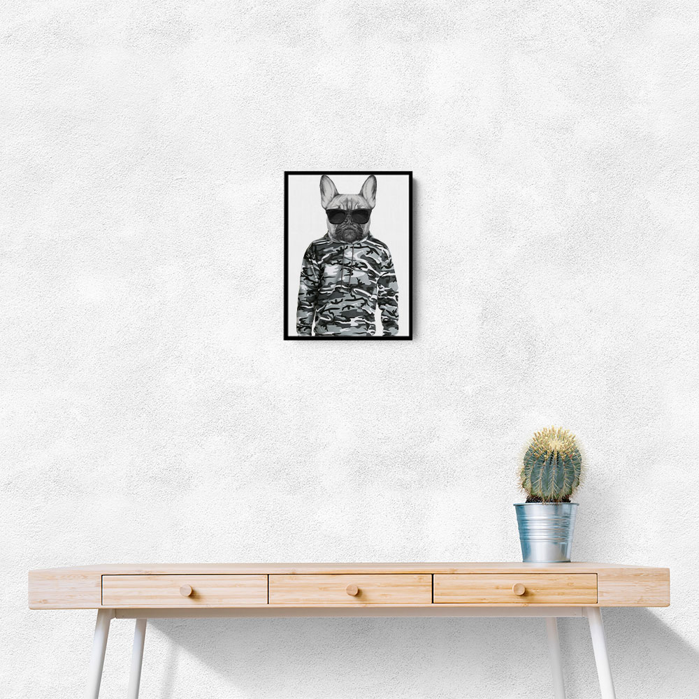 French Bulldog Wearing Sunglasses and Cammo Hoodie French Bulldog Wearing Sunglasses and Cammo Hoodie