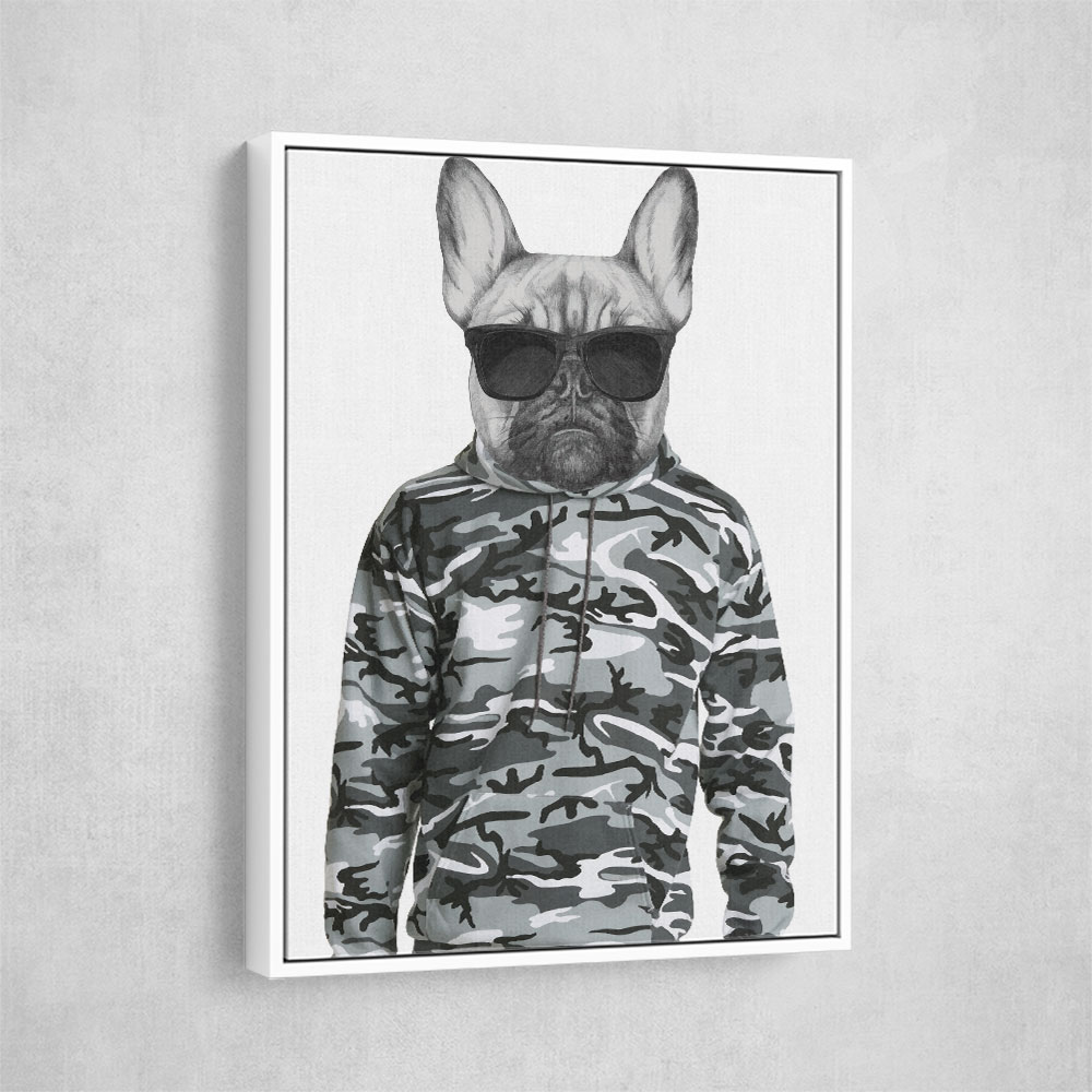 French Bulldog Wearing Sunglasses and Cammo Hoodie