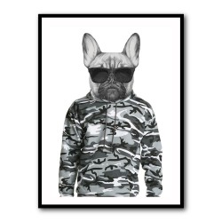 French Bulldog Wearing Sunglasses and Cammo Hoodie