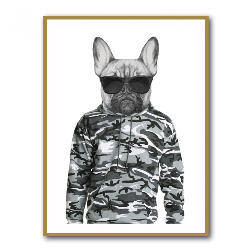French Bulldog Wearing Sunglasses and Cammo Hoodie French Bulldog Wearing Sunglasses and Cammo Hoodie