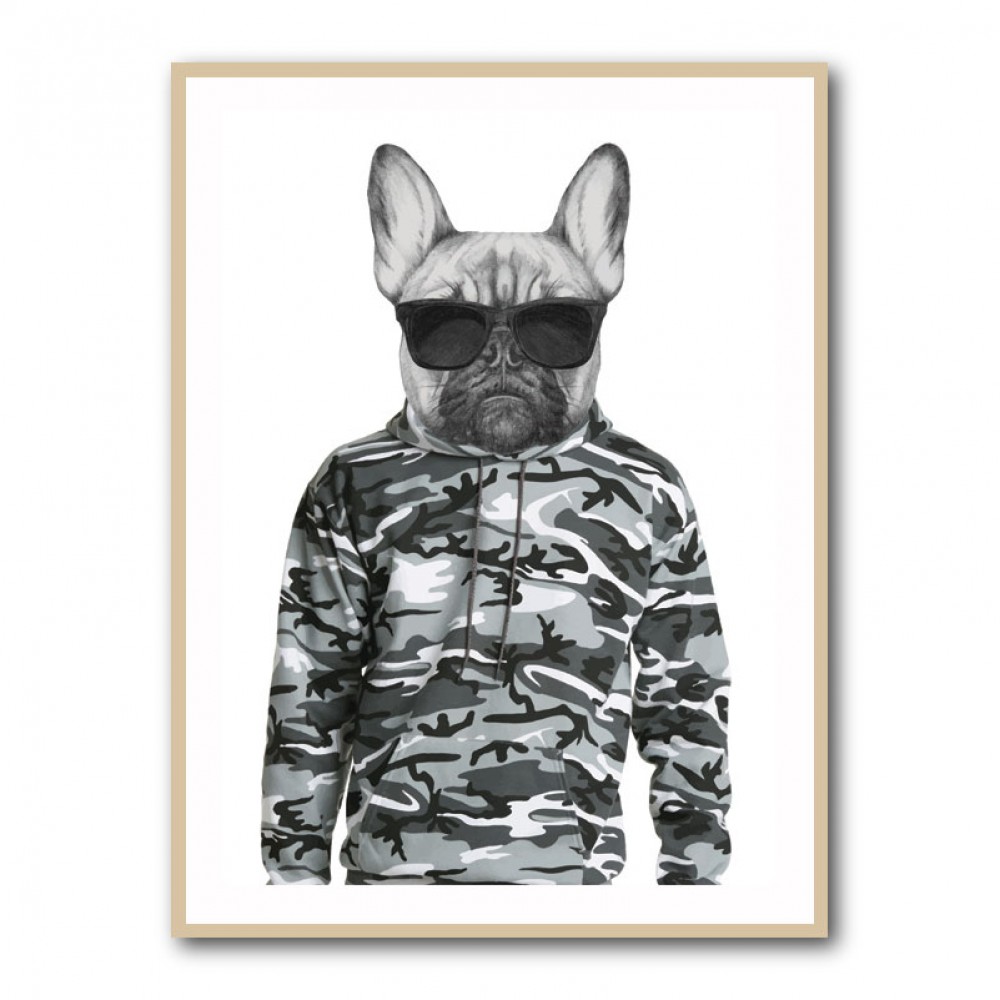 French Bulldog Wearing Sunglasses and Cammo Hoodie French Bulldog Wearing Sunglasses and Cammo Hoodie