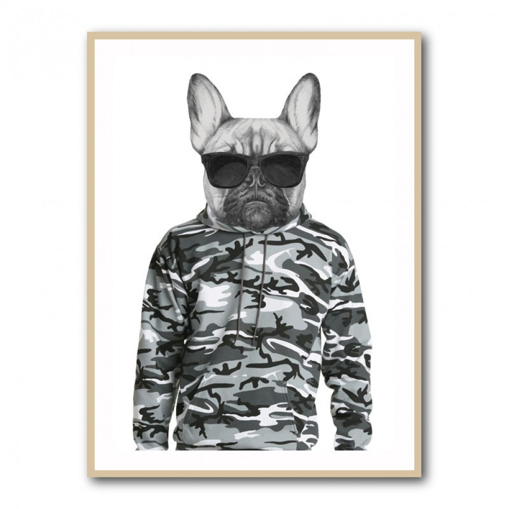 French Bulldog Wearing Sunglasses and Cammo Hoodie