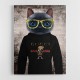 Cat in a Hoodie with Gold Glasses