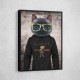 Cat in a Hoodie with Gold Glasses