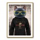 Cat in a Hoodie with Gold Glasses