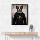 Boxer Dog in a Hoodie Boxer Dog in a Hoodie
