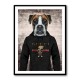 Boxer Dog in a Hoodie Boxer Dog in a Hoodie