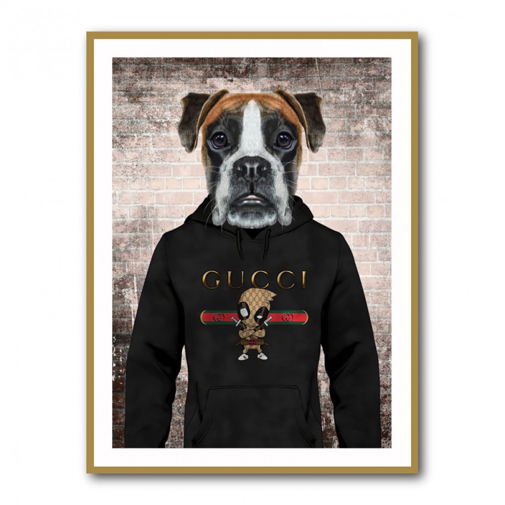 Boxer Dog in a Hoodie Boxer Dog in a Hoodie