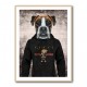 Boxer Dog in a Hoodie Boxer Dog in a Hoodie