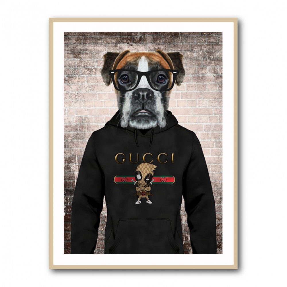 Boxer Dog in a Hoodie Wearing Glasses