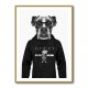 Boxer Dog in a Hoodie Black & White