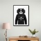 Cavalier King Charles Spaniel Hoodie Black & White