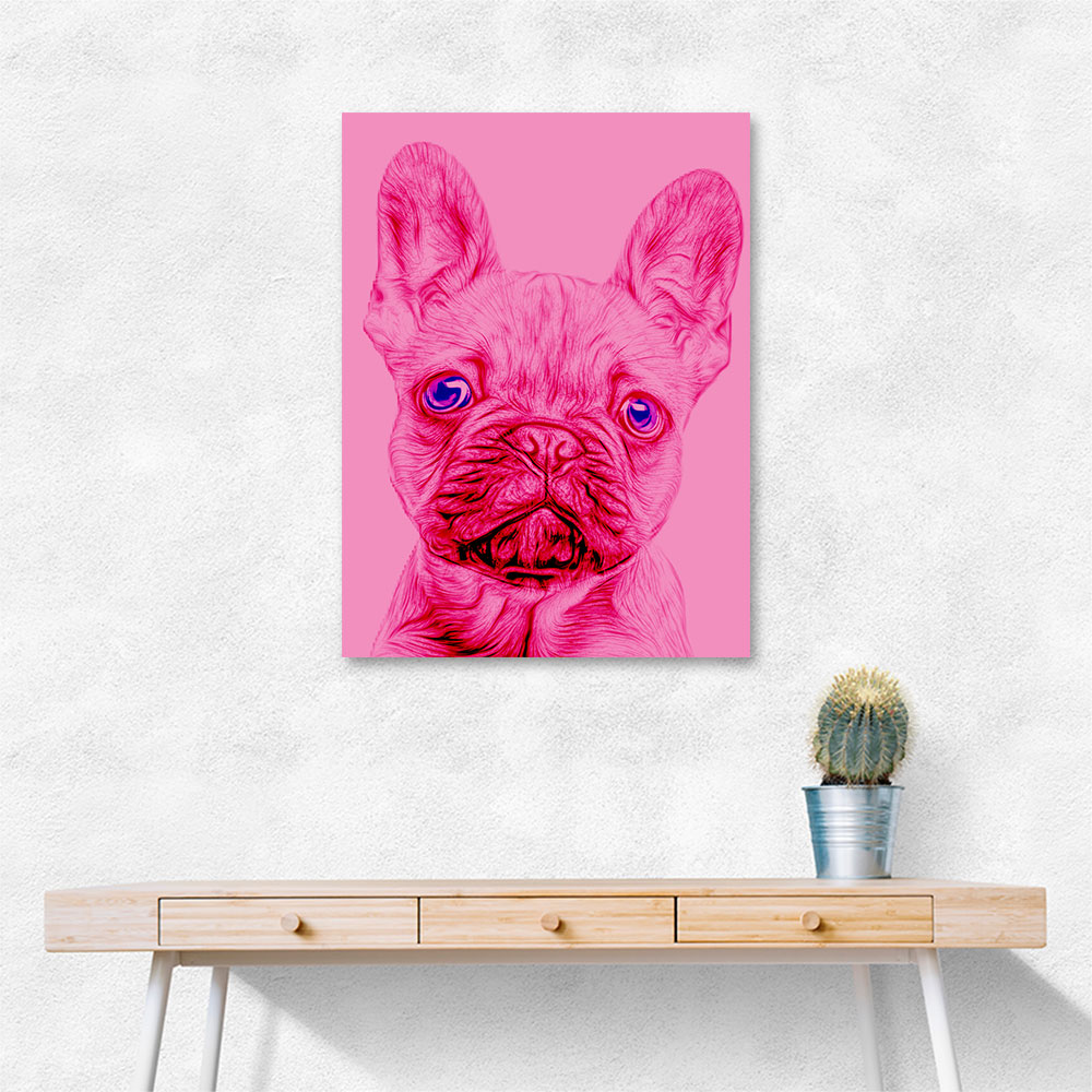 Pink French Bulldog