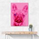 Pink French Bulldog