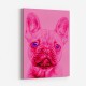 Pink French Bulldog