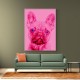 Pink French Bulldog