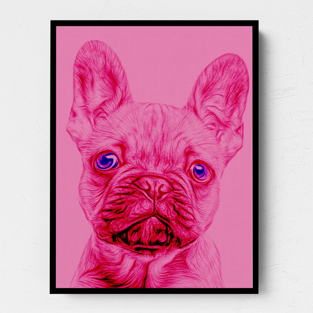 Pink French Bulldog