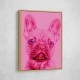 Pink French Bulldog