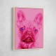 Pink French Bulldog