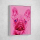 Pink French Bulldog