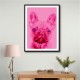 Pink French Bulldog