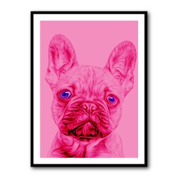 Pink French Bulldog