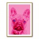 Pink French Bulldog