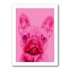 Pink French Bulldog