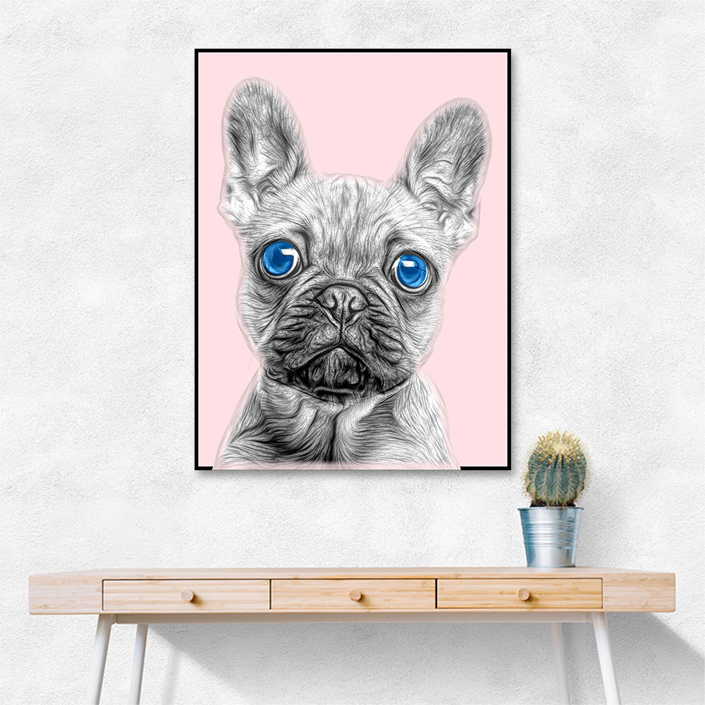 Big Blue Eyed French Bulldog