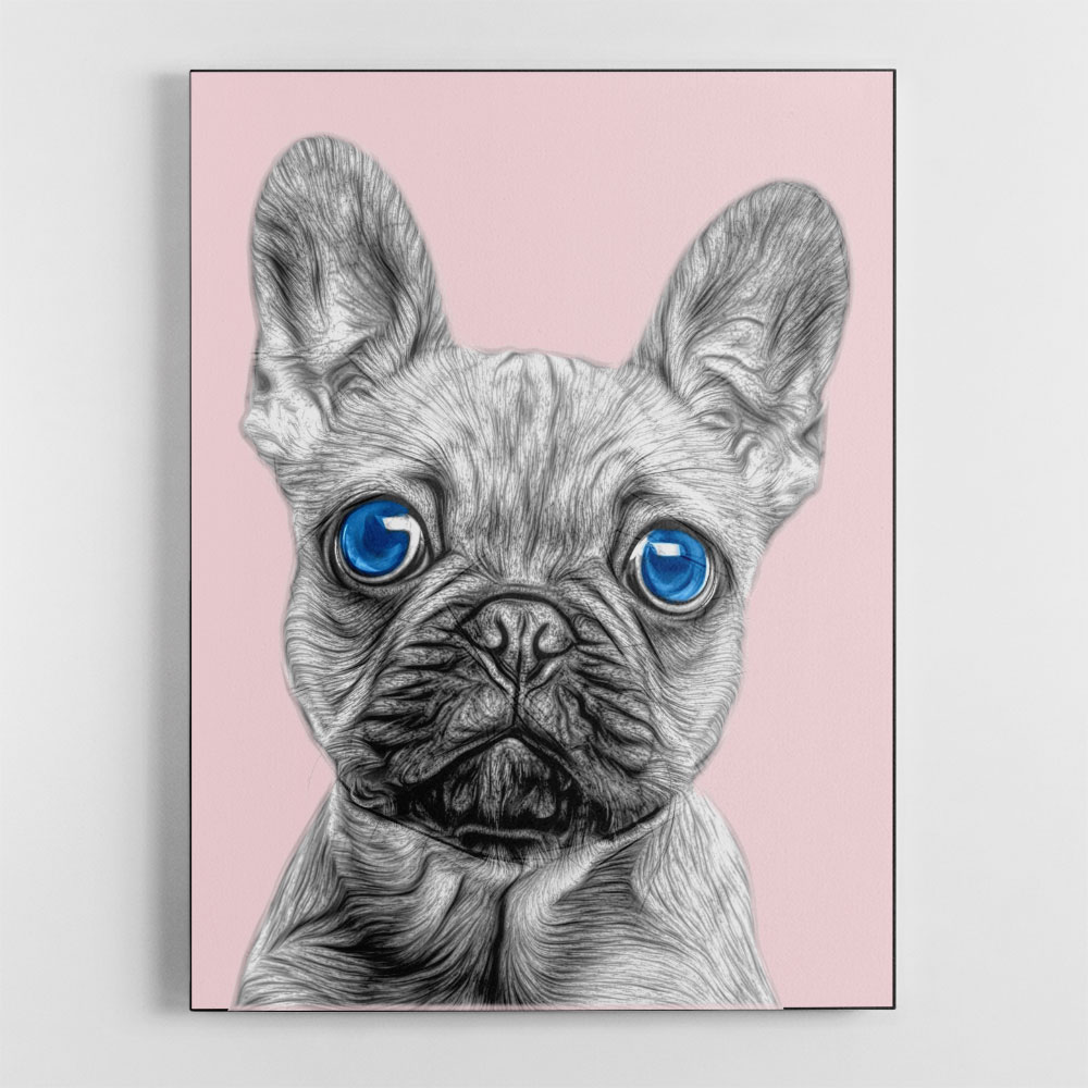 Big Blue Eyed French Bulldog