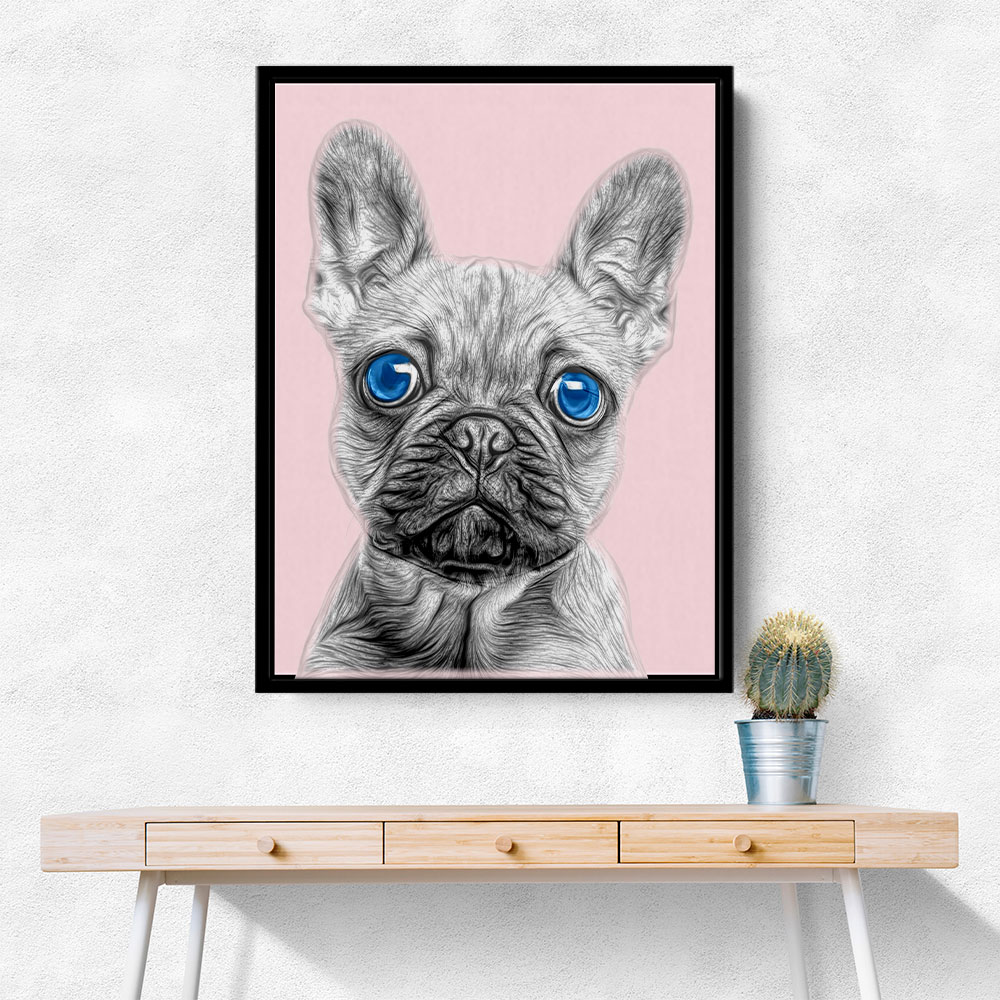 Big Blue Eyed French Bulldog