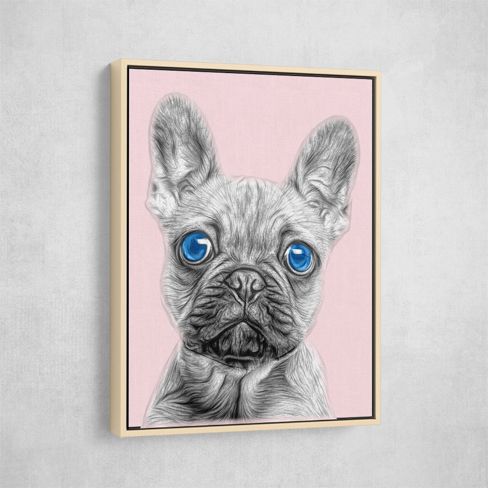 Big Blue Eyed French Bulldog