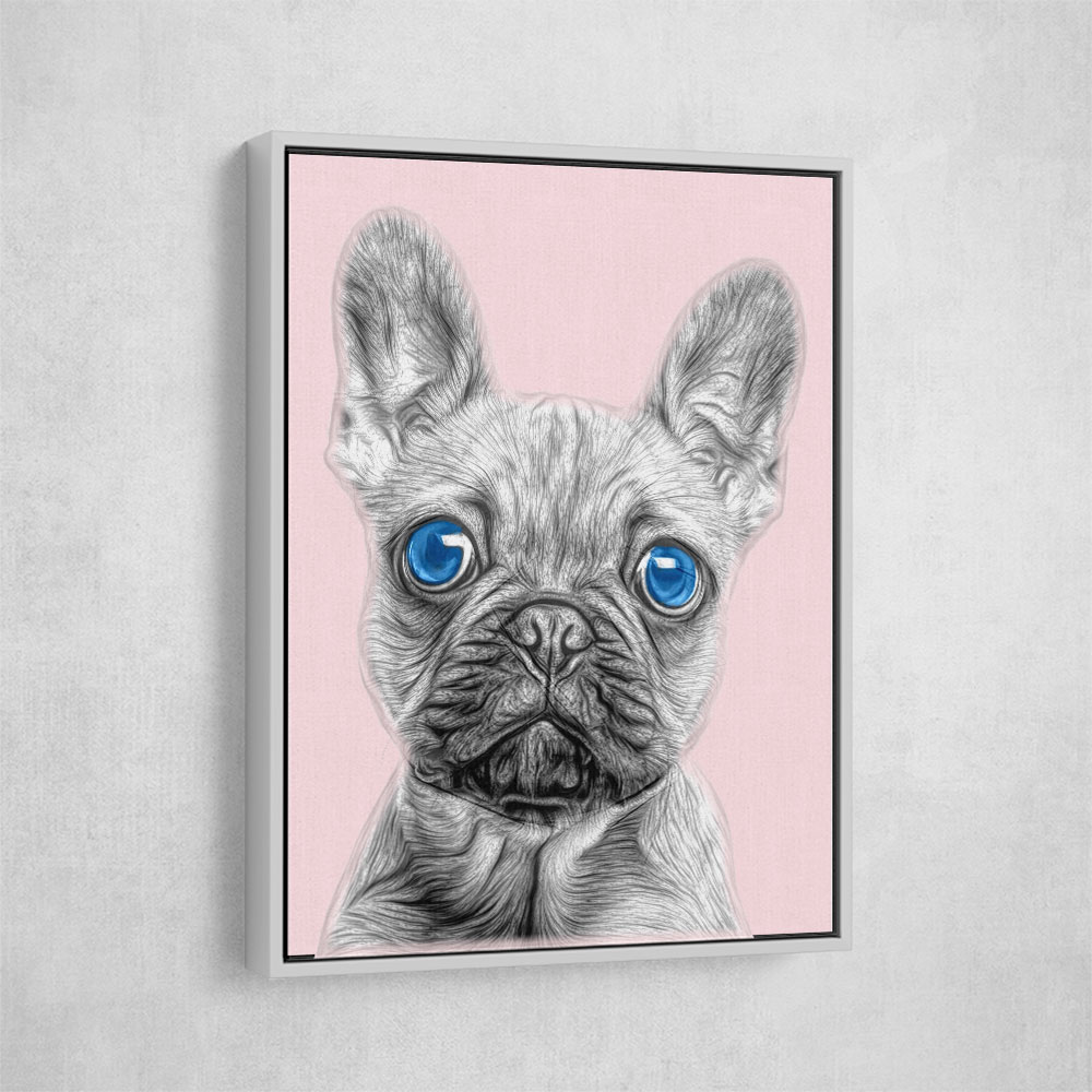 Big Blue Eyed French Bulldog