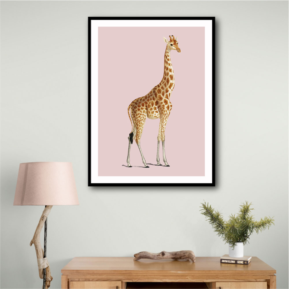 Giraffe Vintage Illustration Pink