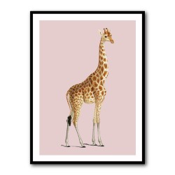 Giraffe Vintage Illustration Pink