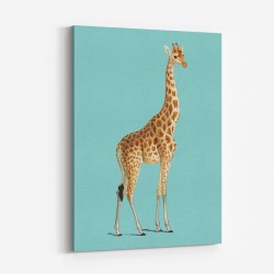 Giraffe Vintage Illustration Blue