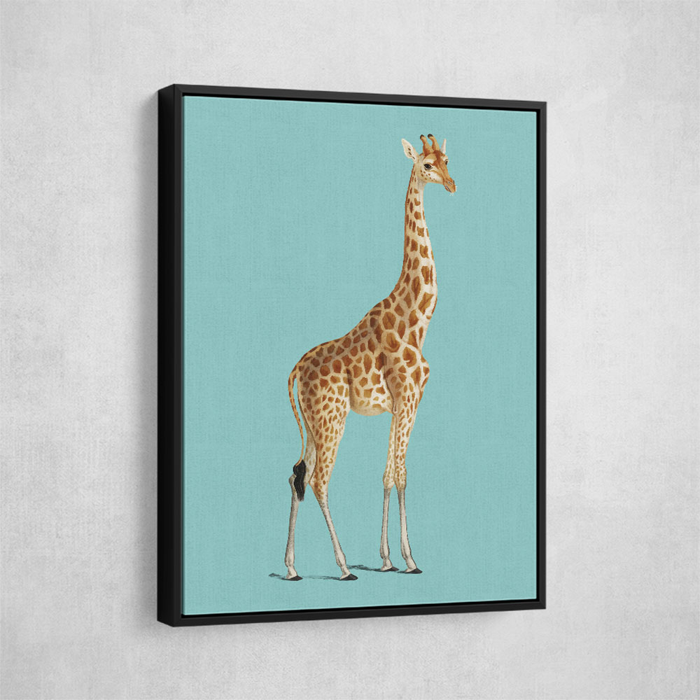 Giraffe Vintage Illustration Blue