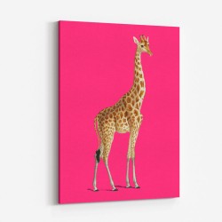 Giraffe Vintage Illustration Bright Pink