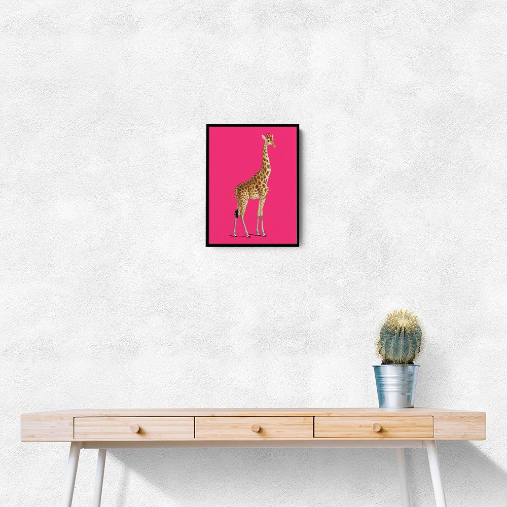 Giraffe Vintage Illustration Bright Pink