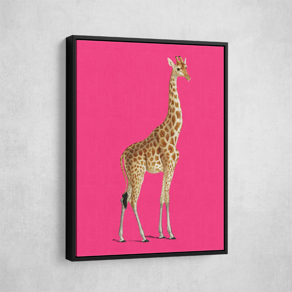 Giraffe Vintage Illustration Bright Pink