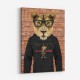 Lioness in a Hoodie Lioness in a Hoodie