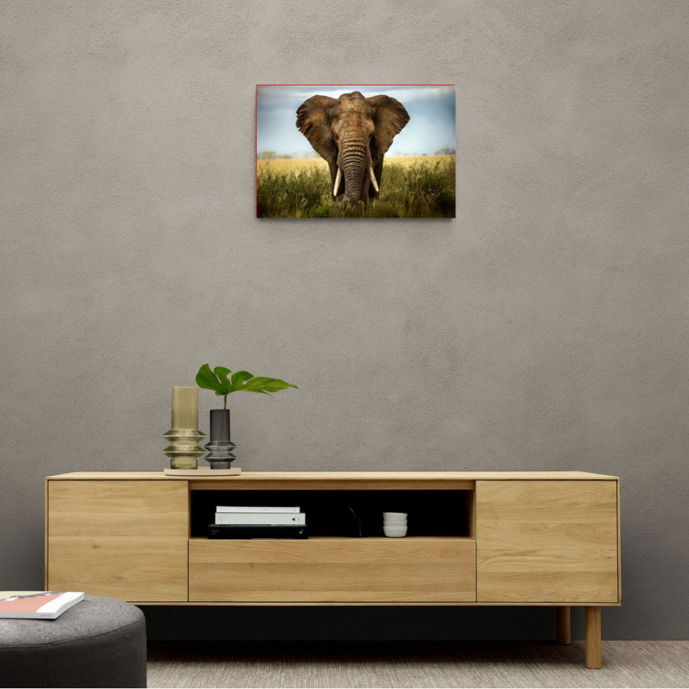 Encounters in Serengeti Encounters in Serengeti