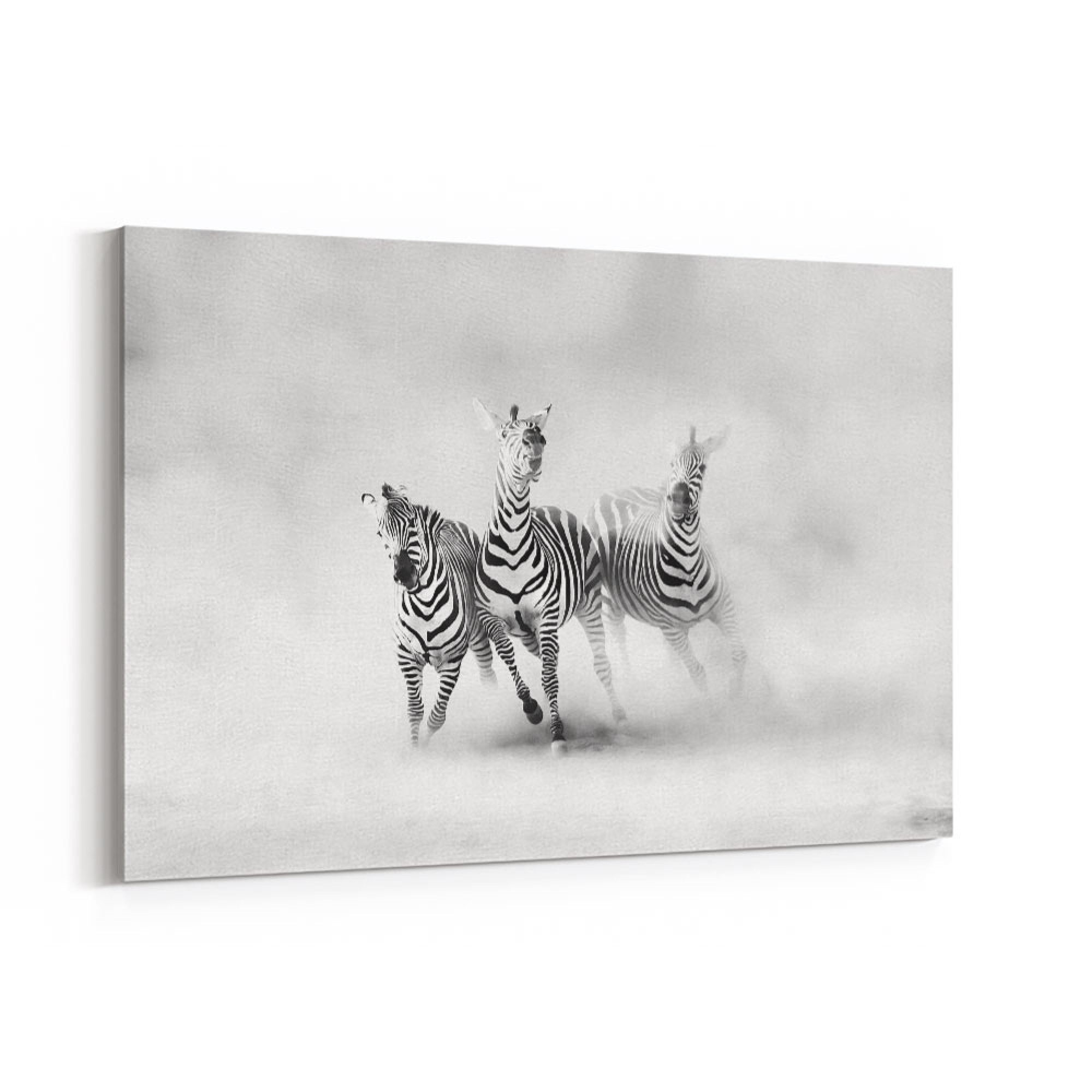 Zebras Wall Art
