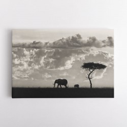 Silhouettes of Mara